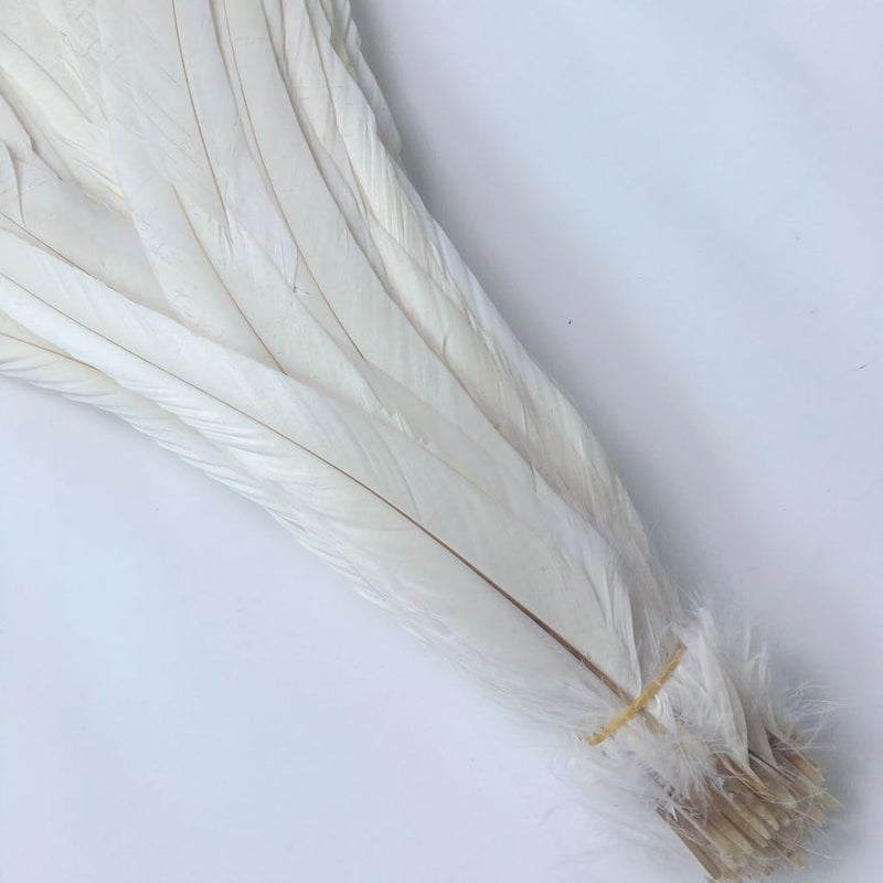 Shekyeon 16-18inch 40-45cm Rooster Coque Tail Feather for Costume Decoration Pack of 20 (Pink) - Image 4